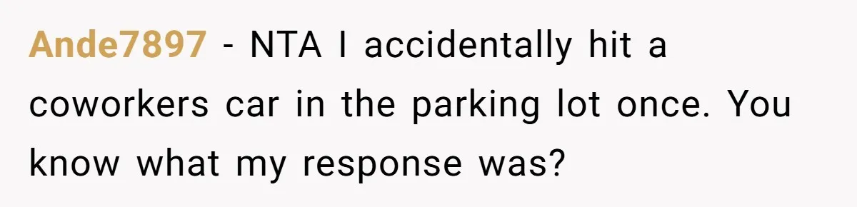 Ande7897 − NTA I accidentally hit a coworkers car in the parking lot once. You know what my response was?
