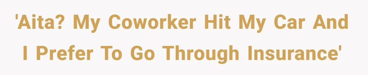 'AITA? My coworker hit my car and I prefer to go through insurance'