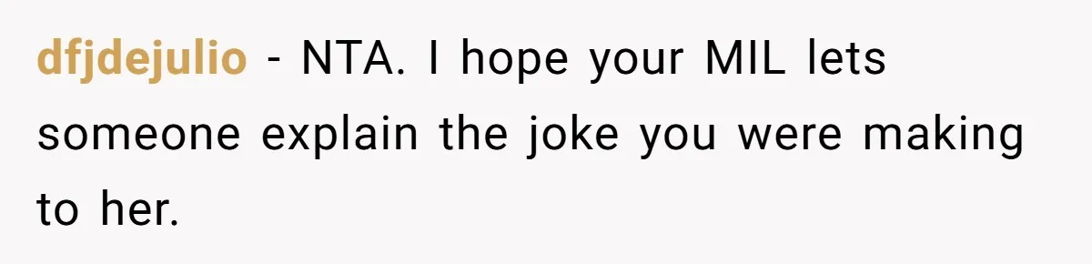 dfjdejulio − NTA. I hope your MIL lets someone explain the joke you were making to her.
