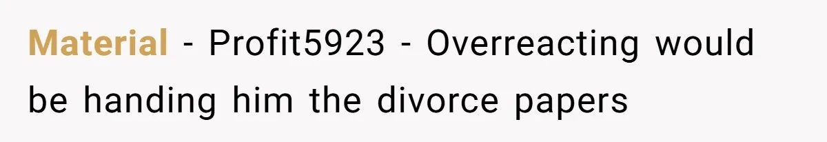 Material - Profit5923 - Overreacting would be handing him the divorce papers