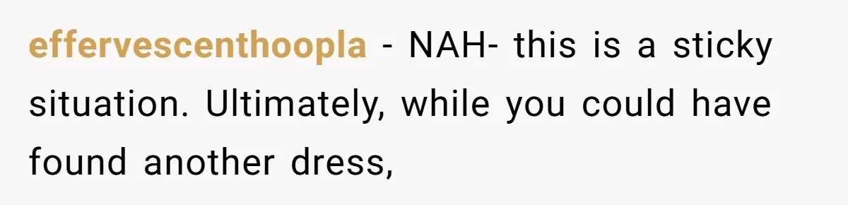 effervescenthoopla − NAH- this is a sticky situation. Ultimately, while you could have found another dress,