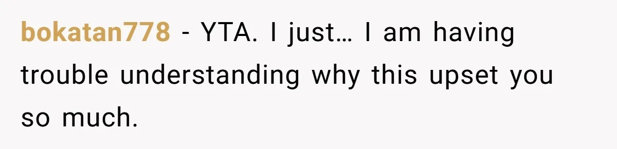 bokatan778 − YTA. I just… I am having trouble understanding why this upset you so much.
