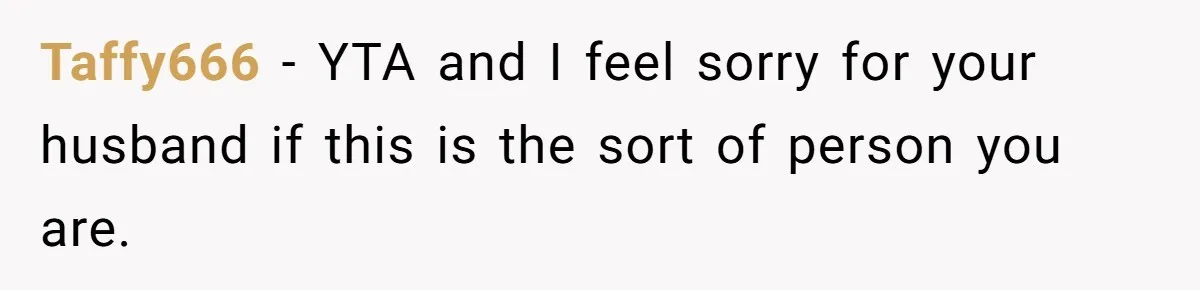 Taffy666 − YTA and I feel sorry for your husband if this is the sort of person you are.
