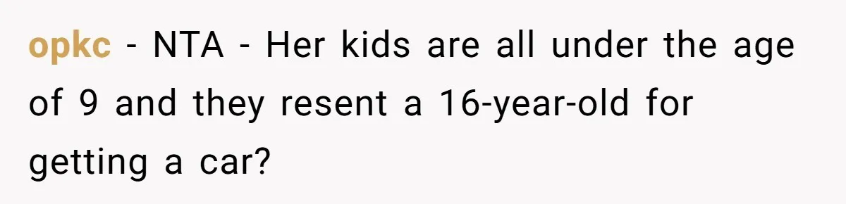 opkc − NTA - Her kids are all under the age of 9 and they resent a 16-year-old for getting a car?