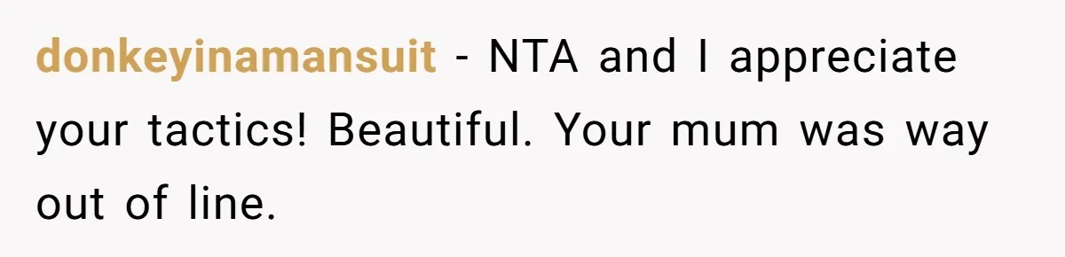 donkeyinamansuit − NTA and I appreciate your tactics! Beautiful. Your mum was way out of line.