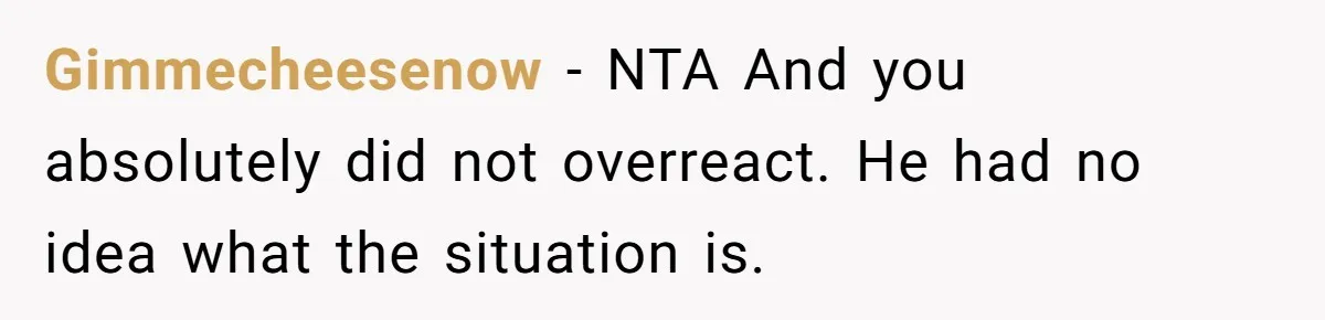 Gimmecheesenow − NTA And you absolutely did not overreact. He had no idea what the situation is.