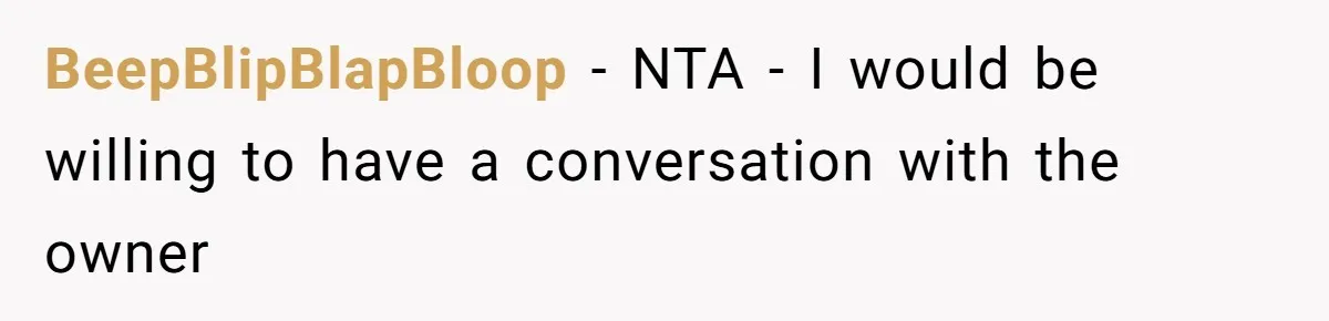 BeepBlipBlapBloop − NTA - I would be willing to have a conversation with the owner