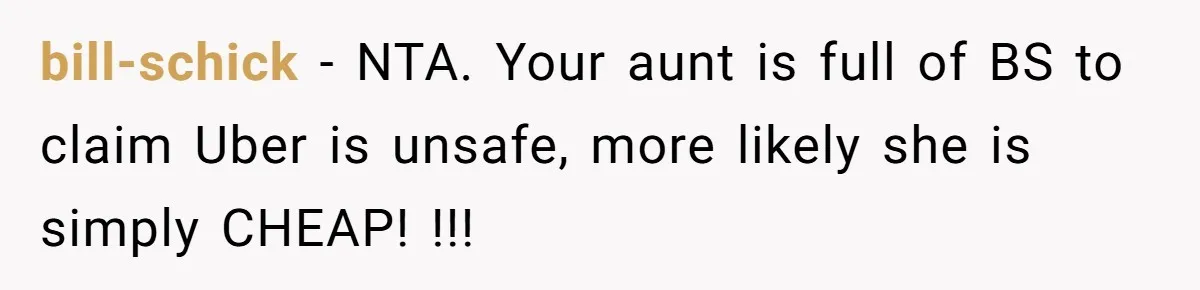 bill-schick − NTA. Your aunt is full of BS to claim Uber is unsafe, more likely she is simply CHEAP! !!!