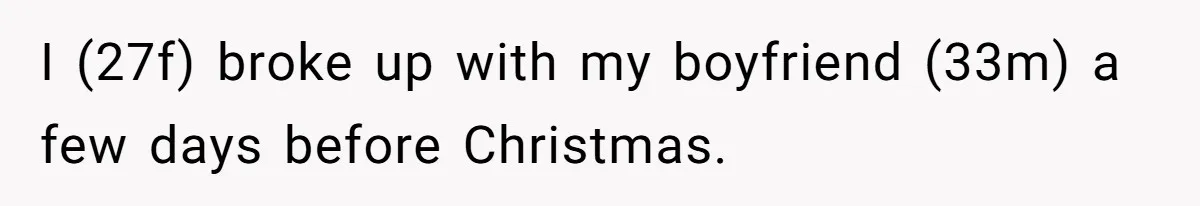 I (27f) broke up with my boyfriend (33m) a few days before Christmas.