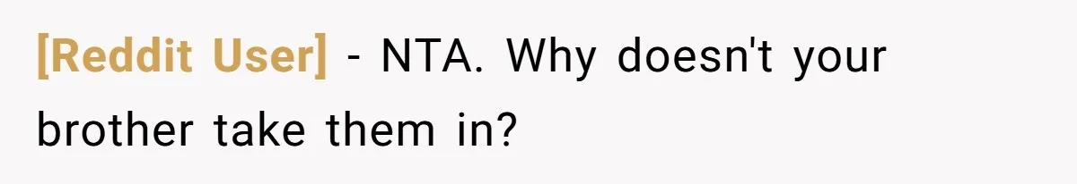 [Reddit User] − NTA. Why doesn't your brother take them in?