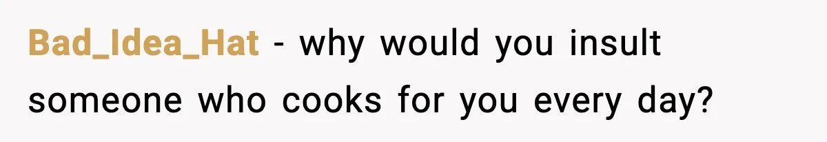 Bad_Idea_Hat - why would you insult someone who cooks for you every day?