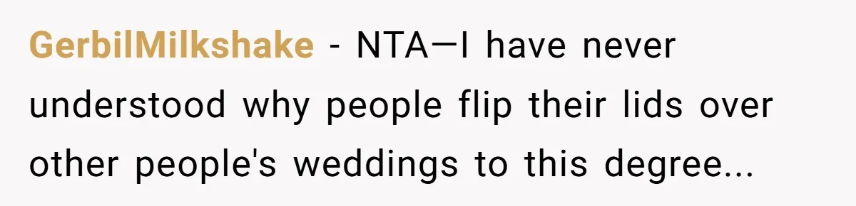 GerbilMilkshake − NTA—I have never understood why people flip their lids over other people's weddings to this degree...