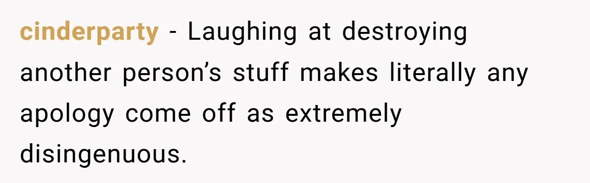 cinderparty − Laughing at destroying another person’s stuff makes literally any apology come off as extremely disingenuous.
