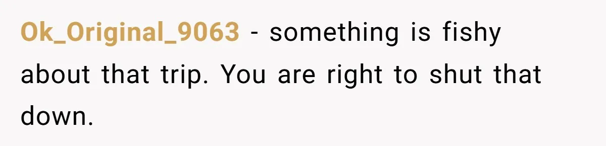 Ok_Original_9063 − something is fishy about that trip. You are right to shut that down.