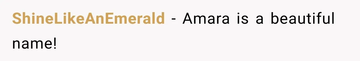 From "Embrace" to "Amara": A Family's Heated Debate Over a Unique Baby Name ShineLikeAnEmerald − Amara is a beautiful name!