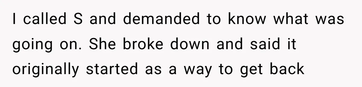 I called S and demanded to know what was going on. She broke down and said it originally started as a way to get back