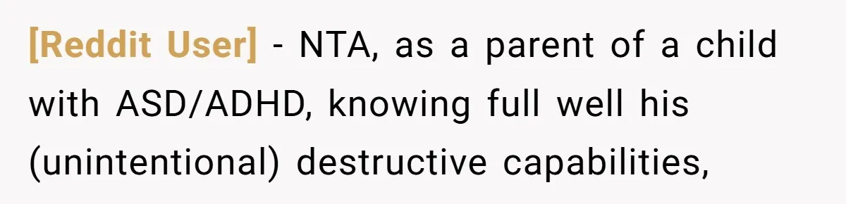 [Reddit User] − NTA, as a parent of a child with ASD/ADHD, knowing full well his (unintentional) destructive capabilities,