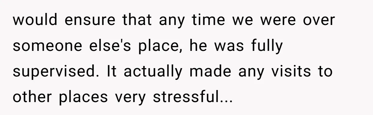 would ensure that any time we were over someone else's place, he was fully supervised. It actually made any visits to other places very stressful...