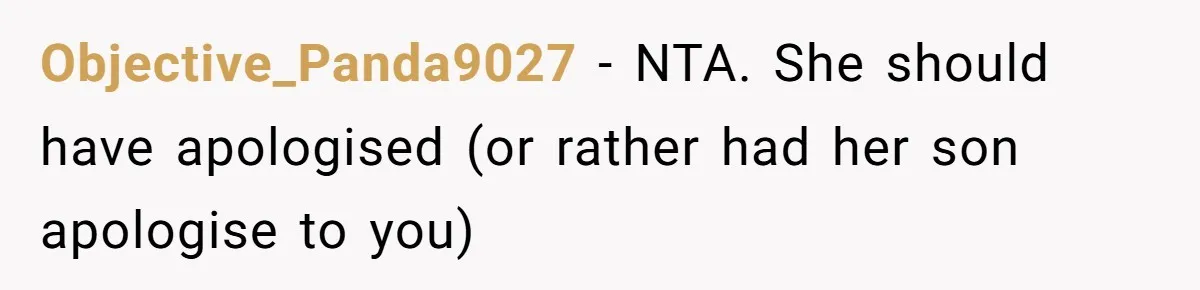 Objective_Panda9027 − NTA. She should have apologised (or rather had her son apologise to you)