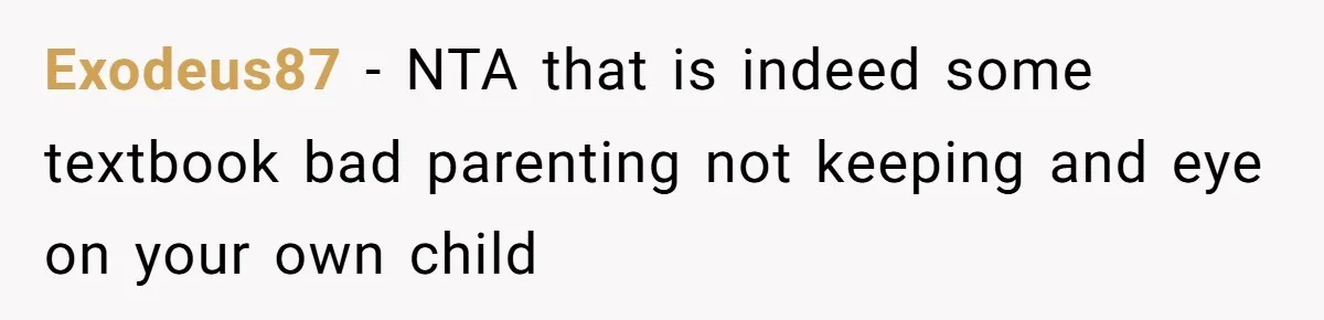 Exodeus87 − NTA that is indeed some textbook bad parenting not keeping and eye on your own child