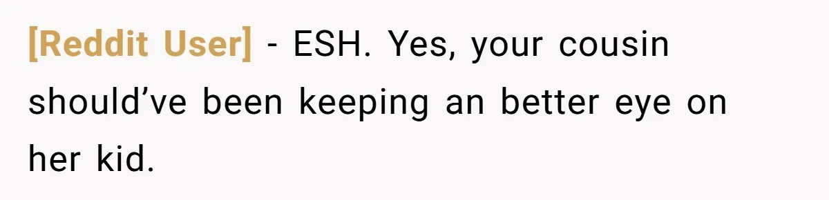 [Reddit User] − ESH. Yes, your cousin should’ve been keeping an better eye on her kid.