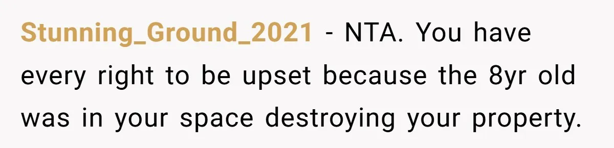 Stunning_Ground_2021 − NTA. You have every right to be upset because the 8yr old was in your space destroying your property.