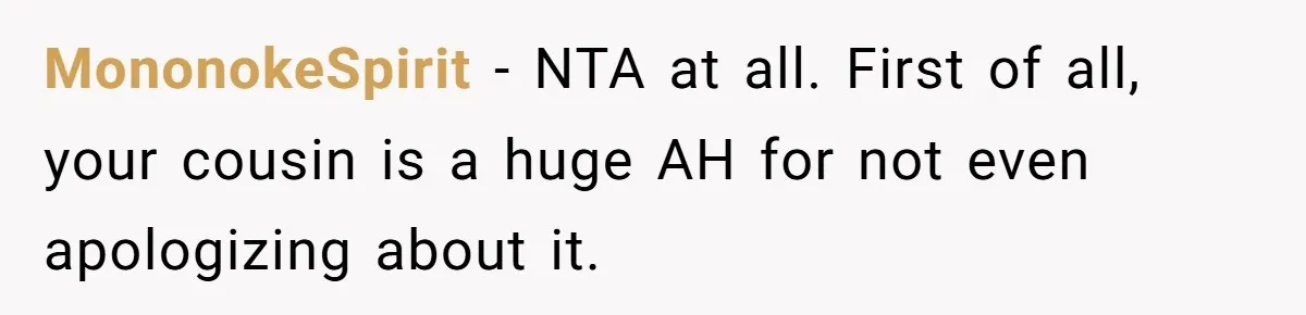 MononokeSpirit − NTA at all. First of all, your cousin is a huge AH for not even apologizing about it.