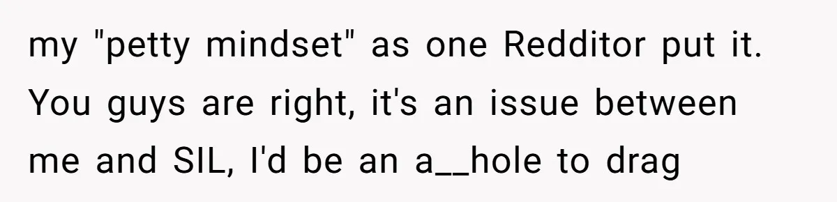 my "petty mindset" as one Redditor put it. You guys are right, it's an issue between me and SIL, I'd be an a__hole to drag