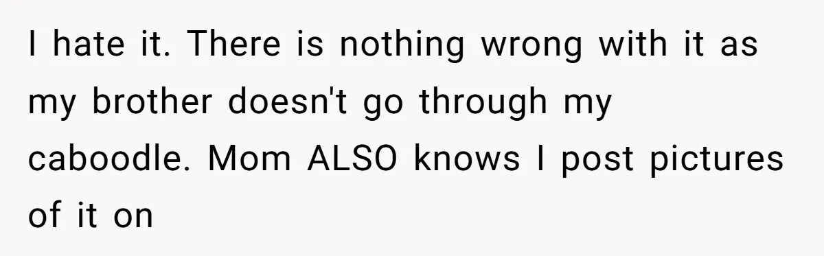 A Makeup Battle: Teen Sister Refuses to Censor Her New Eyeliner for Her Brother I hate it. There is nothing wrong with it as my brother doesn't go through my caboodle. Mom ALSO knows I post pictures of it on