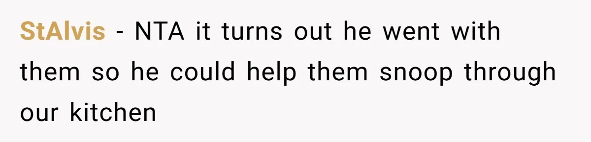 StAlvis − NTA it turns out he went with them so he could help them snoop through our kitchen