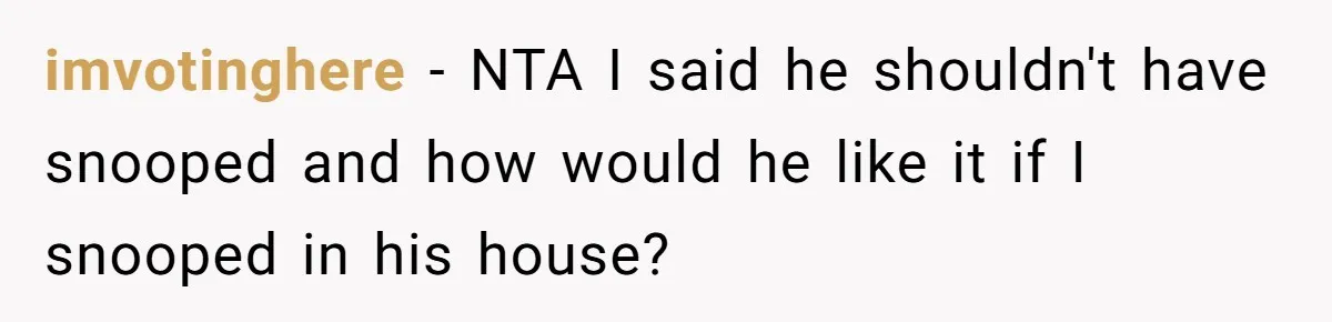 imvotinghere − NTA I said he shouldn't have snooped and how would he like it if I snooped in his house?