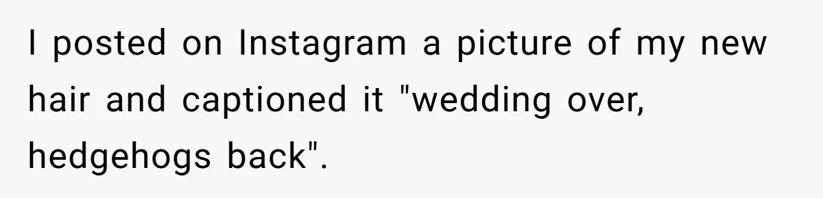 I posted on Instagram a picture of my new hair and captioned it "wedding over, hedgehogs back".