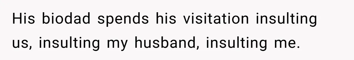 His biodad spends his visitation insulting us, insulting my husband, insulting me.