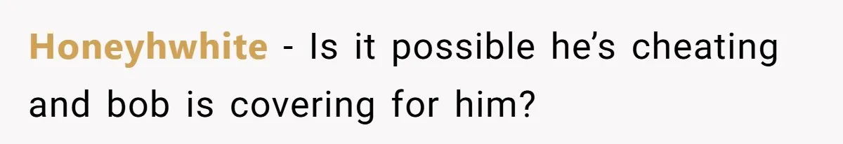 Honeyhwhite − Is it possible he’s cheating and bob is covering for him?