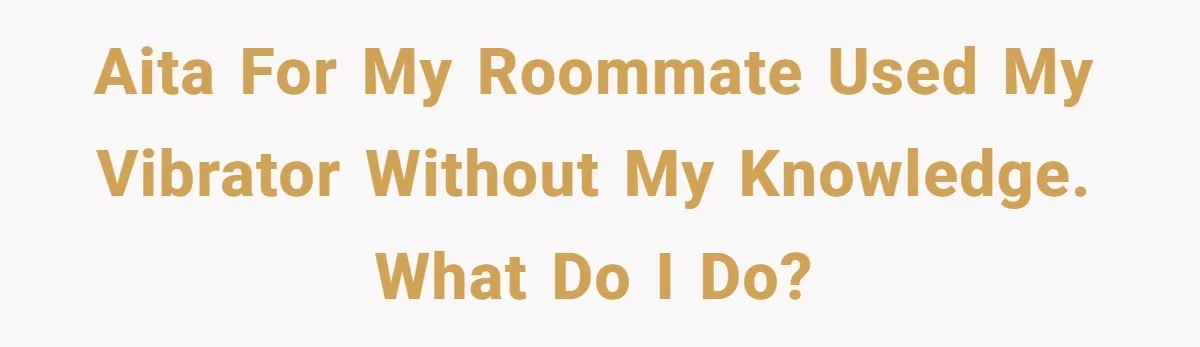 AITA for my roommate used my vibrator without my knowledge. What do I do?