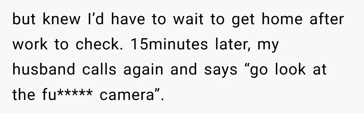 but knew I’d have to wait to get home after work to check. 15minutes later, my husband calls again and says “go look at the fu***** camera”.