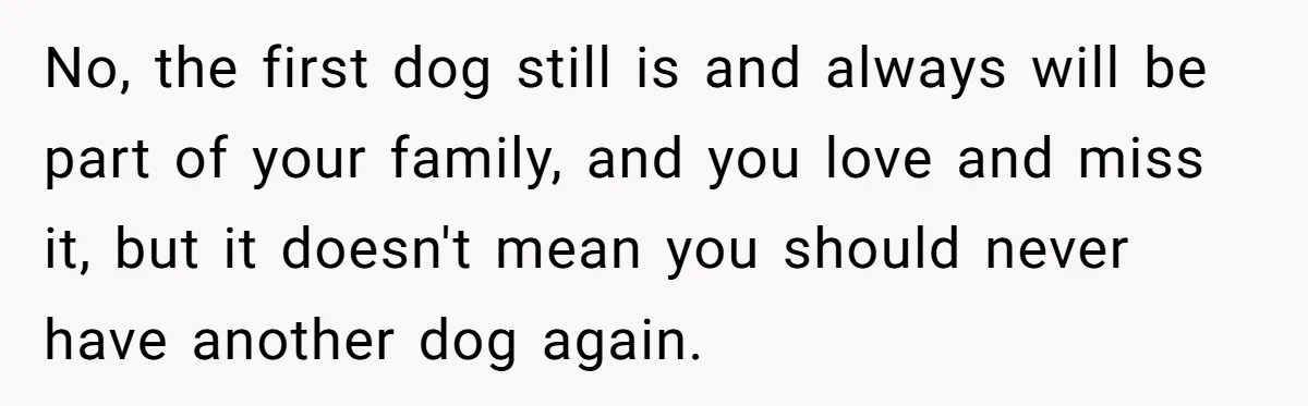 No, the first dog still is and always will be part of your family, and you love and miss it, but it doesn't mean you should never have another dog...
