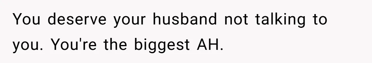 You deserve your husband not talking to you. You're the biggest AH.