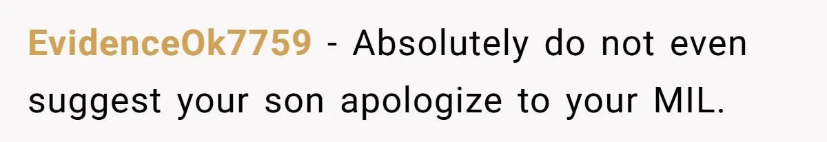 EvidenceOk7759 − Absolutely do not even suggest your son apologize to your MIL.