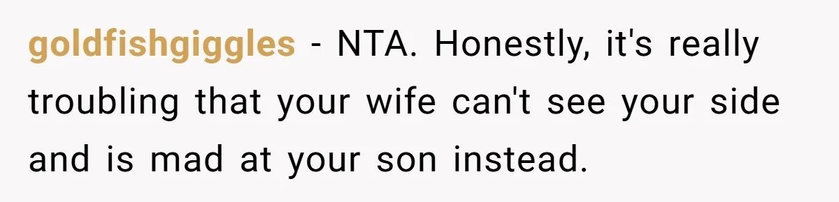 goldfishgiggles − NTA. Honestly, it's really troubling that your wife can't see your side and is mad at your son instead.