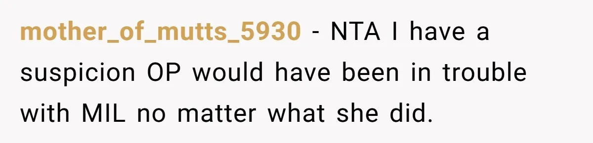 mother_of_mutts_5930 − NTA I have a suspicion OP would have been in trouble with MIL no matter what she did.