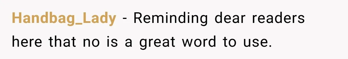 Handbag_Lady − Reminding dear readers here that no is a great word to use.