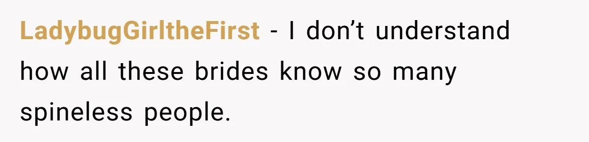LadybugGirltheFirst − I don’t understand how all these brides know so many spineless people.