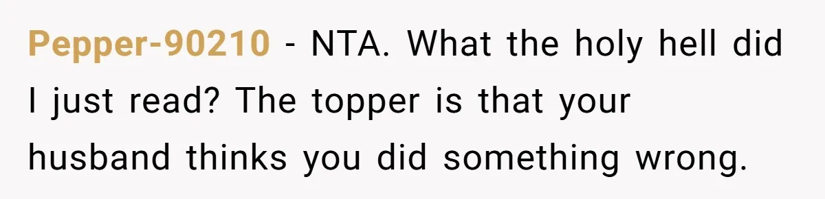Pepper-90210 − NTA. What the holy hell did I just read? The topper is that your husband thinks you did something wrong.