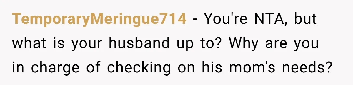 TemporaryMeringue714 − You're NTA, but what is your husband up to? Why are you in charge of checking on his mom's needs?