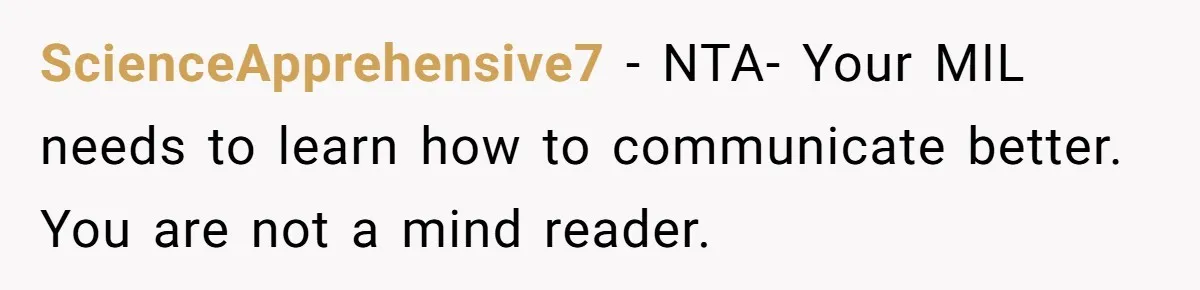 ScienceApprehensive7 − NTA- Your MIL needs to learn how to communicate better. You are not a mind reader.