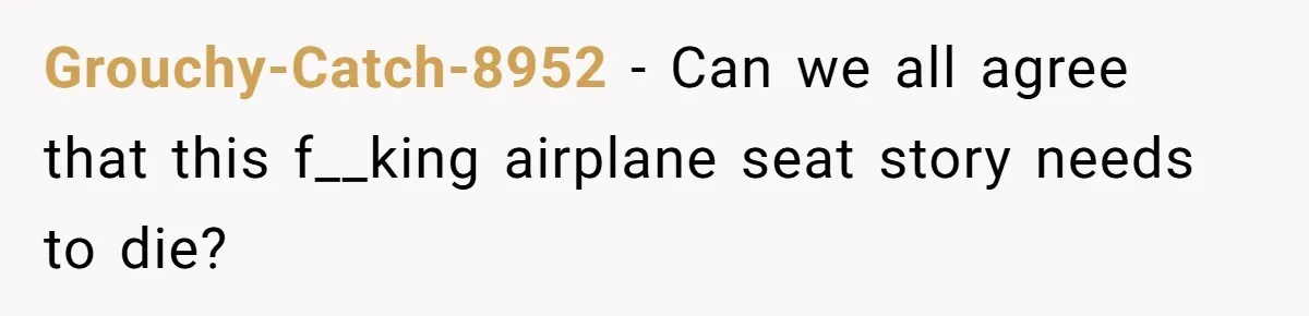 Grouchy-Catch-8952 − Can we all agree that this f__king airplane seat story needs to die?