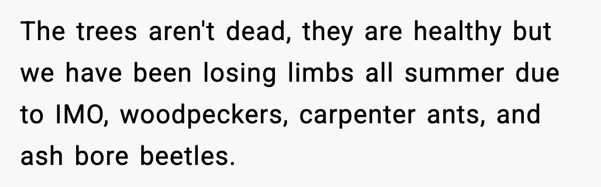 Parent Warns Son About Falling Tree, Kid Says He’s “Scarred for Life” The trees aren't dead, they are healthy but we have been losing limbs all summer due to IMO, woodpeckers, carpenter ants, and ash bore beetles.