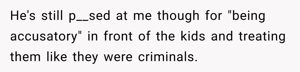 He's still p__sed at me though for "being accusatory" in front of the kids and treating them like they were criminals.