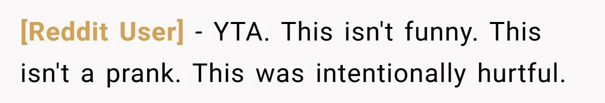 [Reddit User] − YTA. This isn't funny. This isn't a prank. This was intentionally hurtful.